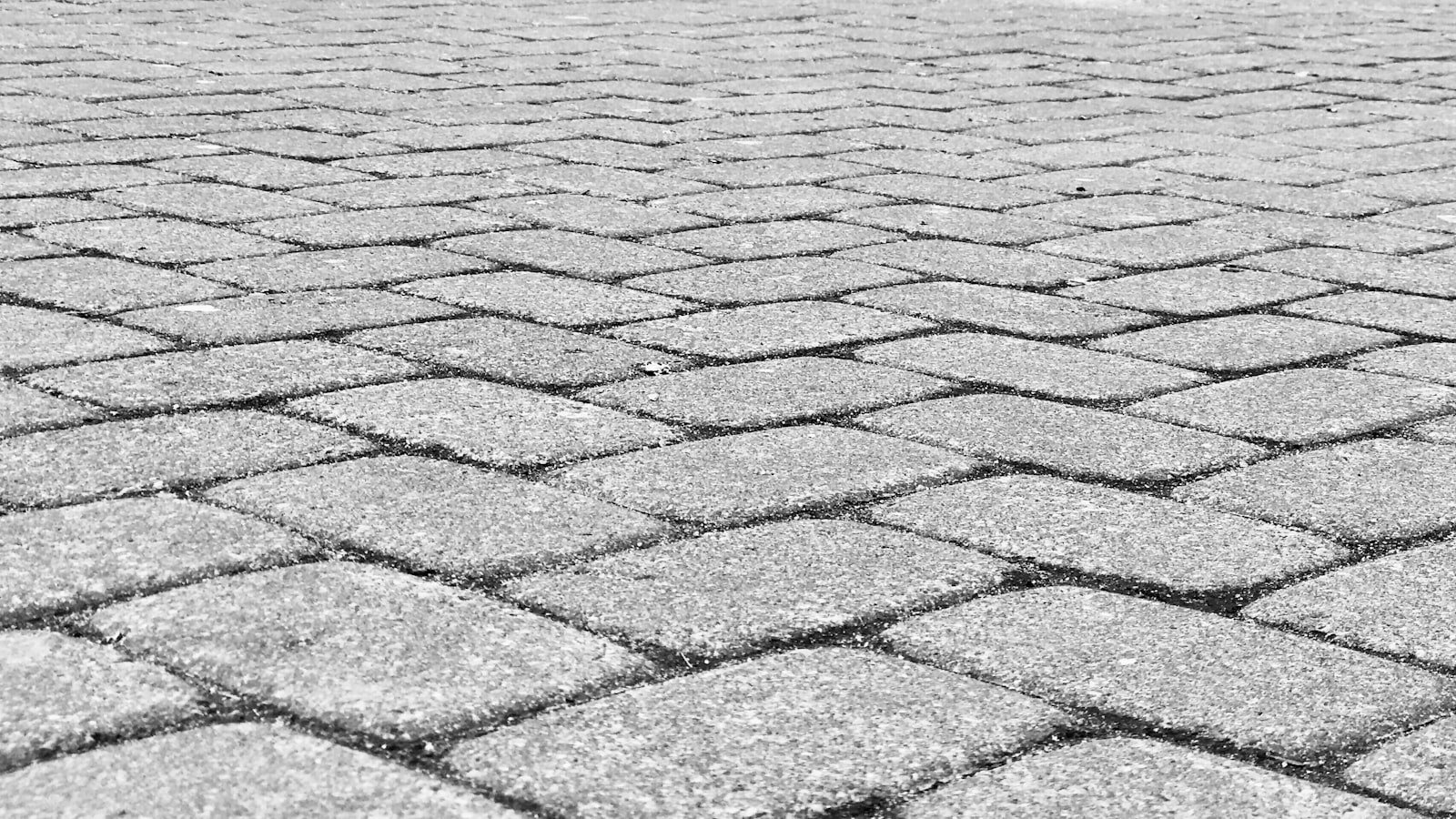 Brick paver walkway bordered by a clean-cut lawn.